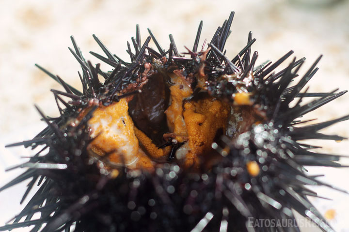 quality-seafood-inc-1-urchin.jpg