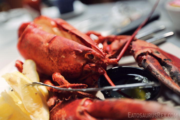 lobster-trap-lobster.jpg